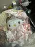 正版hellokitty包包挂件毛绒玩偶生日礼物送女生闺蜜圣诞节礼物 花小兔kitty+礼袋【正版】 实拍图