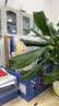 得力（deli）四联镂空桌面文件框栏书立架档案收纳盒 办公室带标签资料文件置物架书本资料收纳神器 黑色9846 实拍图