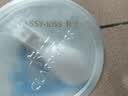 卡士（CLASSY.KISS）全程冷链 3.3g原味鲜酪乳100g*18杯  低温酸奶 源头直发 实拍图