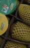 佳沛（zespri）新西兰金奇异果22粒巨大原箱146-175g猕猴桃中秋节礼品送水果礼盒 实拍图