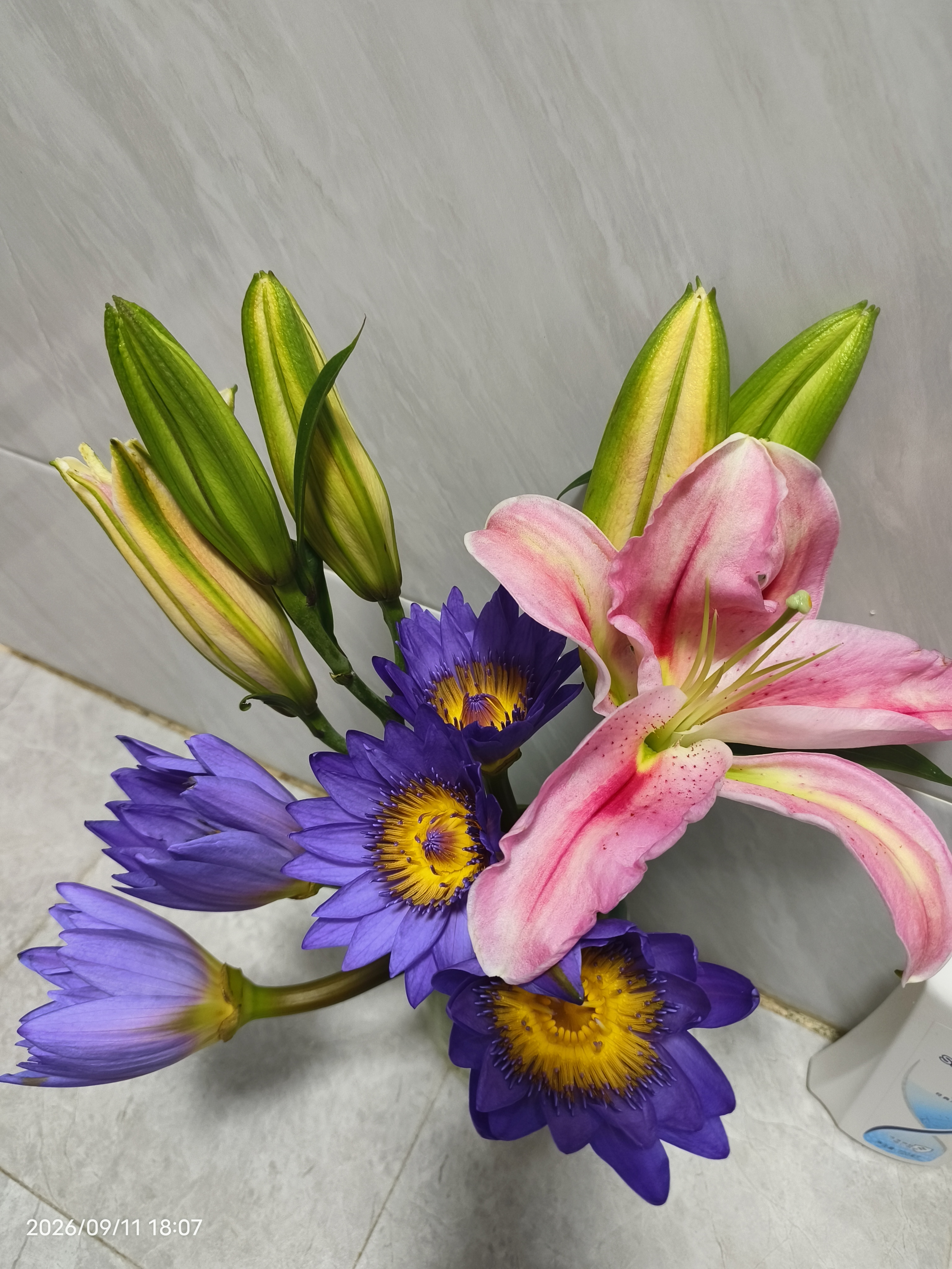百合鲜切花云南基地直发瓶插水养七夕情人节礼物 爱人暖心礼物 随机香水百合6-8朵 实拍图
