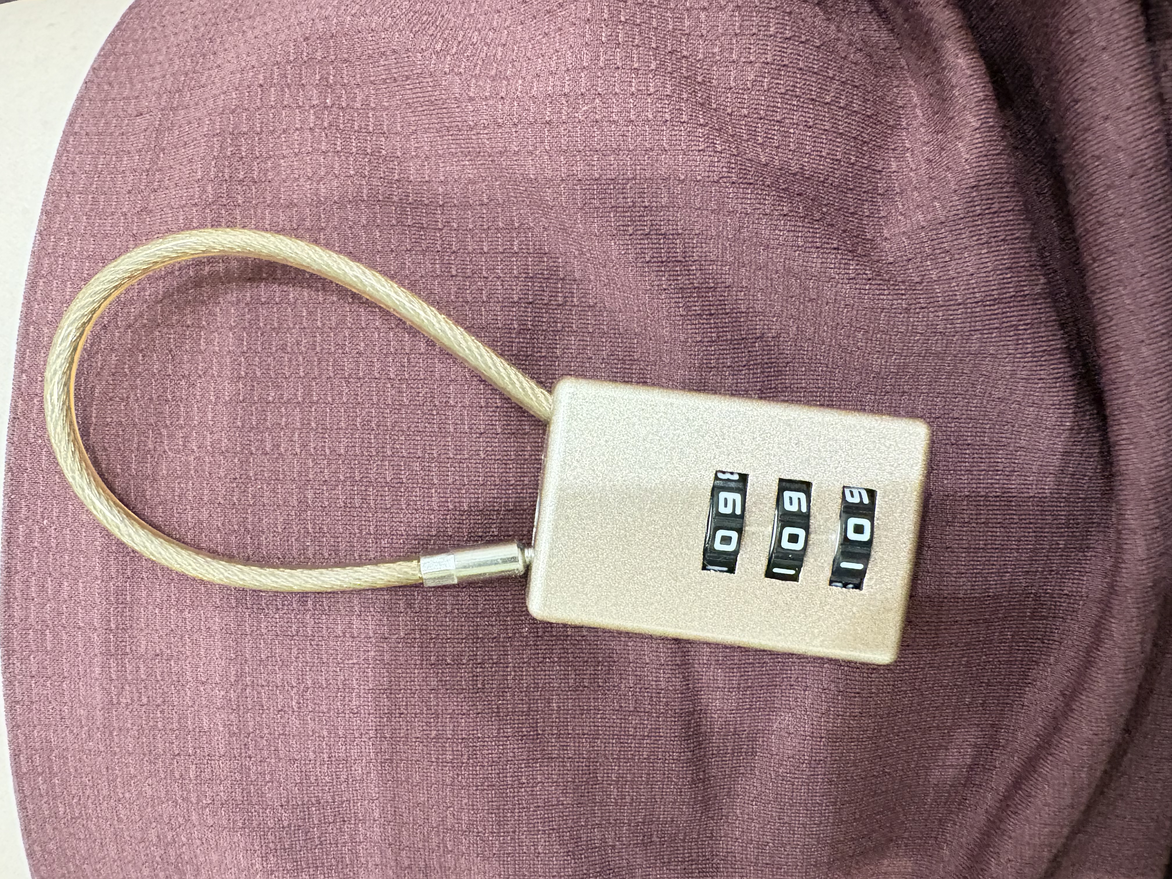RESET小密码锁挂锁箱包背包书包拉杆箱密码挂锁工具箱钢缆锁香槟色10cm 实拍图