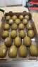 佳沛（zespri）新西兰金奇异果22粒巨大原箱146-175g猕猴桃中秋节礼品送水果礼盒 实拍图