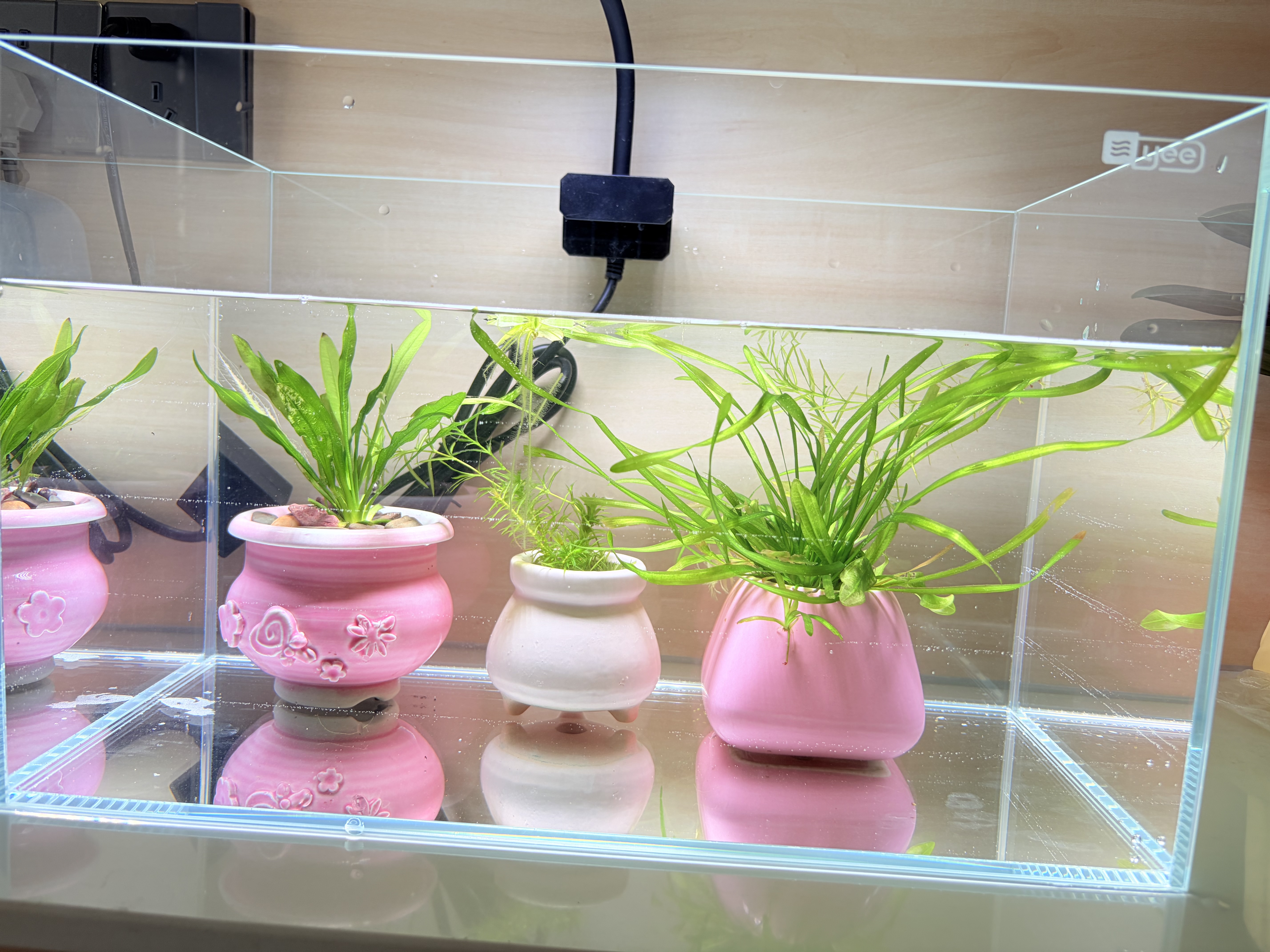 YEE鱼缸金晶超白金鱼裸缸8060家用客厅桌面小草缸龟缸玻璃生态溪流缸 40*23*25*5mm裸缸 实拍图