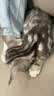 雷米高（RAMICAL） 猫粮猫猫主食主粮幼猫成猫海洋鱼味全价猫粮500g*5 实拍图