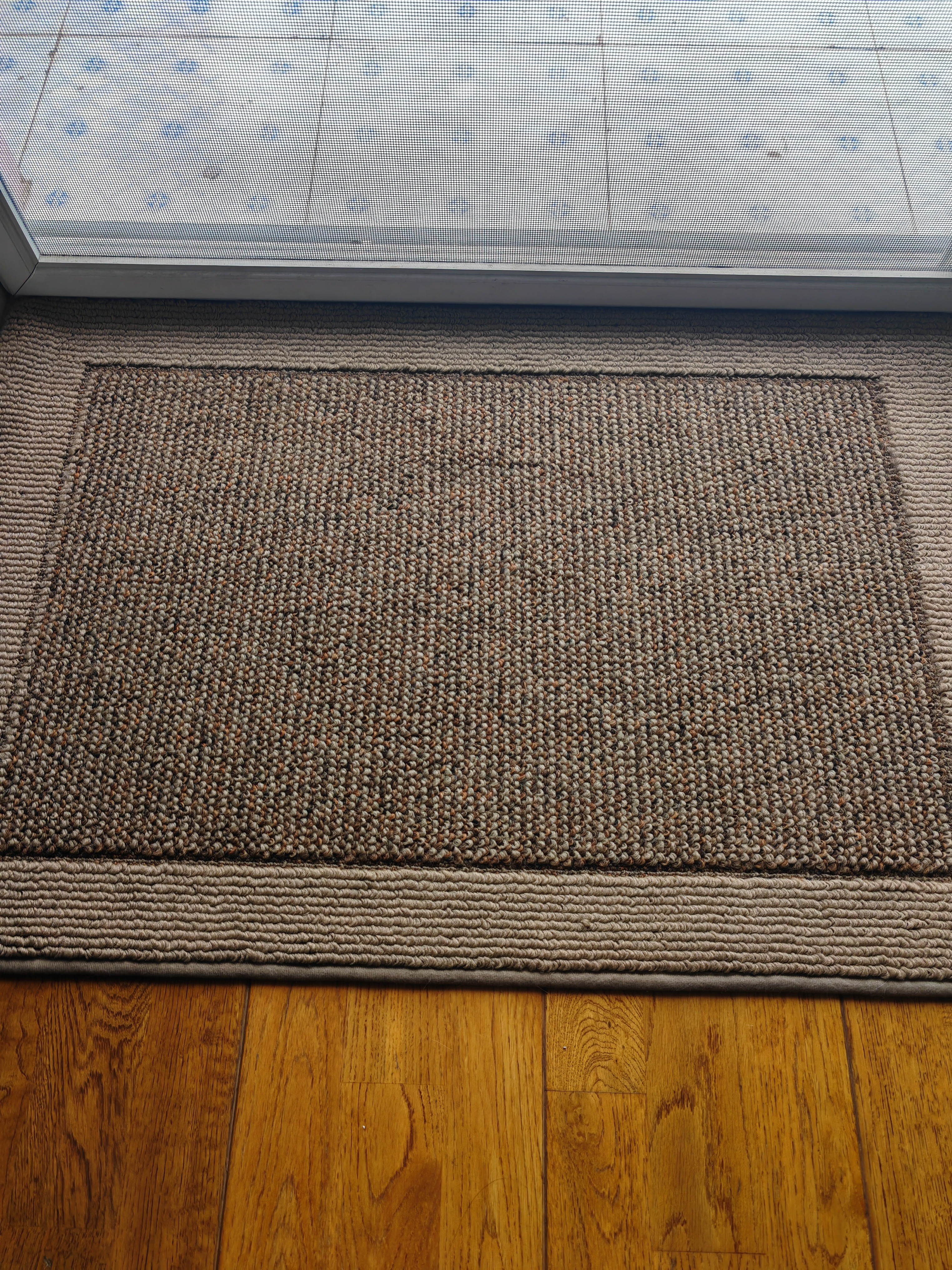 大江入户地垫入户门脚垫门口进门高级感轻奢玄关地毯高端60x90cm 实拍图