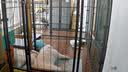 小湃500万5G双频家用摄像头P50Pro无线网络室内高清监控器360度无死角带夜视家用监控婴儿宠物创维智造 实拍图
