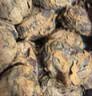 广西马蹄  荔浦荸荠 现挖现发 地梨地栗 时令新鲜 精选特大5斤9斤 5斤精品特大果 实拍图
