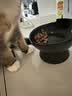 冠能猫粮室内成猫猫粮2.5kg 全价猫粮 添加膳食纤维 控制毛球 实拍图