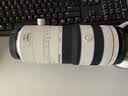 佳能（Canon）RF70-200mm F2.8 L IS USM Z 新款L级RF HYBRID远摄变焦镜头 全画幅大三元镜头 滤镜防护套装 实拍图