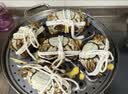 【礼券】阳澄状元大闸蟹礼券8888型公4.5两母3.5两4对8只海鲜螃蟹卡券礼盒礼品卡湖蟹 实拍图