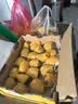 佳沛（zespri）新西兰金奇异果40粒全家福10斤原箱猕猴桃源头直发中秋水果礼盒品 实拍图