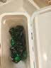 妈妈壹选La天然植皂清可新洗衣凝珠10ml*40粒*3  除菌持久留香 浓缩洗衣液 实拍图