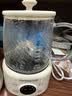 九阳（Joyoung）养生壶家用全玻璃煮茶器轻音炖煮办公室0金属0胶水冲奶800W大功率烧水壶恒温壶WY-PR2105（1L） 实拍图