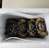 【活蟹】蟹叁钳庄 全母大闸蟹 去绳足重3.3-3.6两 8只鲜活现货螃蟹中秋国庆礼盒 实拍图