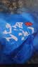 北海湾花螺鲜活新鲜海螺特大号海鲜水产鲜冻冷冻东风螺特大花螺贝类净重 特大无沙 2000g 实拍图