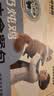 多特思羊奶炖鸡猫主食餐包6包成幼猫湿粮罐头全价猫咪汤包饭 实拍图