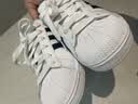阿迪达斯（adidas）Superstar 2贝壳头三叶草经典女款运动板鞋JH9976白色 38 实拍图