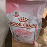 皇家猫粮 幼猫猫粮 幼猫奶糕 K36 通用粮 4-12月 2KG 实拍图