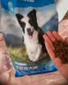 力狼狗粮 全价成犬粮 博美泰迪金毛阿拉斯加边牧大中小犬型粮 【53%肉含量-护胃健骨】鲜鸭肉梨4斤 实拍图