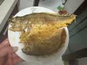 三都港 冷冻醇香黄鱼鲞500g 三去黄花鱼 生鲜 烧烤食材 海鲜 中秋礼品 实拍图