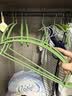 范爷家树脂衣架无痕防肩角10个装家用挂衣毛衣衣撑子不鼓包晾衣衣服架晒衣架子 实拍图