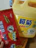 榄菊蟑螂屋5片蟑螂药全窝端家用蟑螂贴强力灭蟑螂除蟑螂捕捉器 实拍图