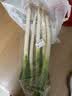大葱约1kg 实拍图