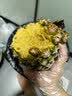 广东徐闻香水菠萝新鲜水果生鲜热带孕妇水果整箱包邮 【限时低价】1个装  净重650g起 实拍图