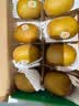 佳沛（zespri）新西兰金奇异果8粒超大果175-204g猕猴桃中秋节礼品送水果礼盒 实拍图