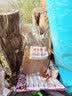 盈龙 打窝料野钓鲫鱼发酵玉米颗粒鲤鱼钓鱼底窝料 实拍图