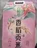 十月稻田 香稻贡米 东北大米 10斤（香米 粳米 5kg/公斤） 实拍图