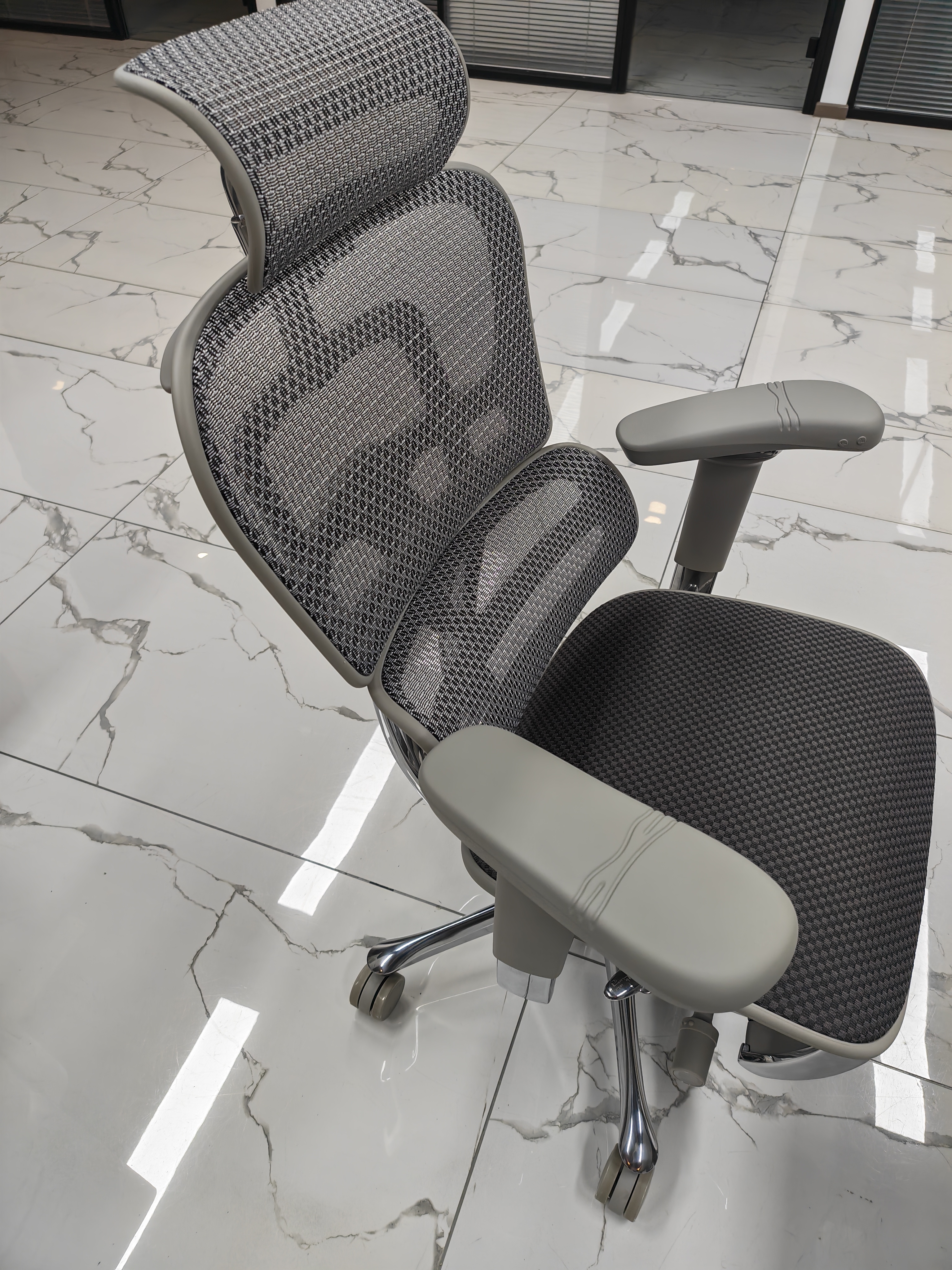 Ergonor保友金豪SE 顶奢旗舰人体工学椅超强撑腰护臀 家用办公老板座椅子 银白(云感科技坐垫)+躺舒宝 整椅发货 送货上门 实拍图