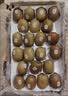 佳沛（zespri）新西兰阳光金奇异果6粒装88-103g猕猴桃水果中秋节礼品送水果礼盒 实拍图