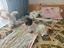 澳贝（auby）婴幼儿玩具宝宝早教唱跳躲猫猫安抚小兔毛绒玩偶生日新生儿见面礼 实拍图