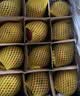 佳农烟台红富士苹果 净重4.8斤 单果重约200g+ 中秋礼盒源头直发 实拍图