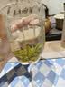 陈一凡安吉白茶 正宗安吉2026新茶特级绿茶明前茶叶自饮送礼盒装250g 实拍图