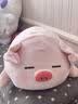名创优品（MINISO）小猪B-BO玩偶公仔毛绒娃娃抱枕靠枕生日礼物女儿童玩具趴趴bobo猪 实拍图