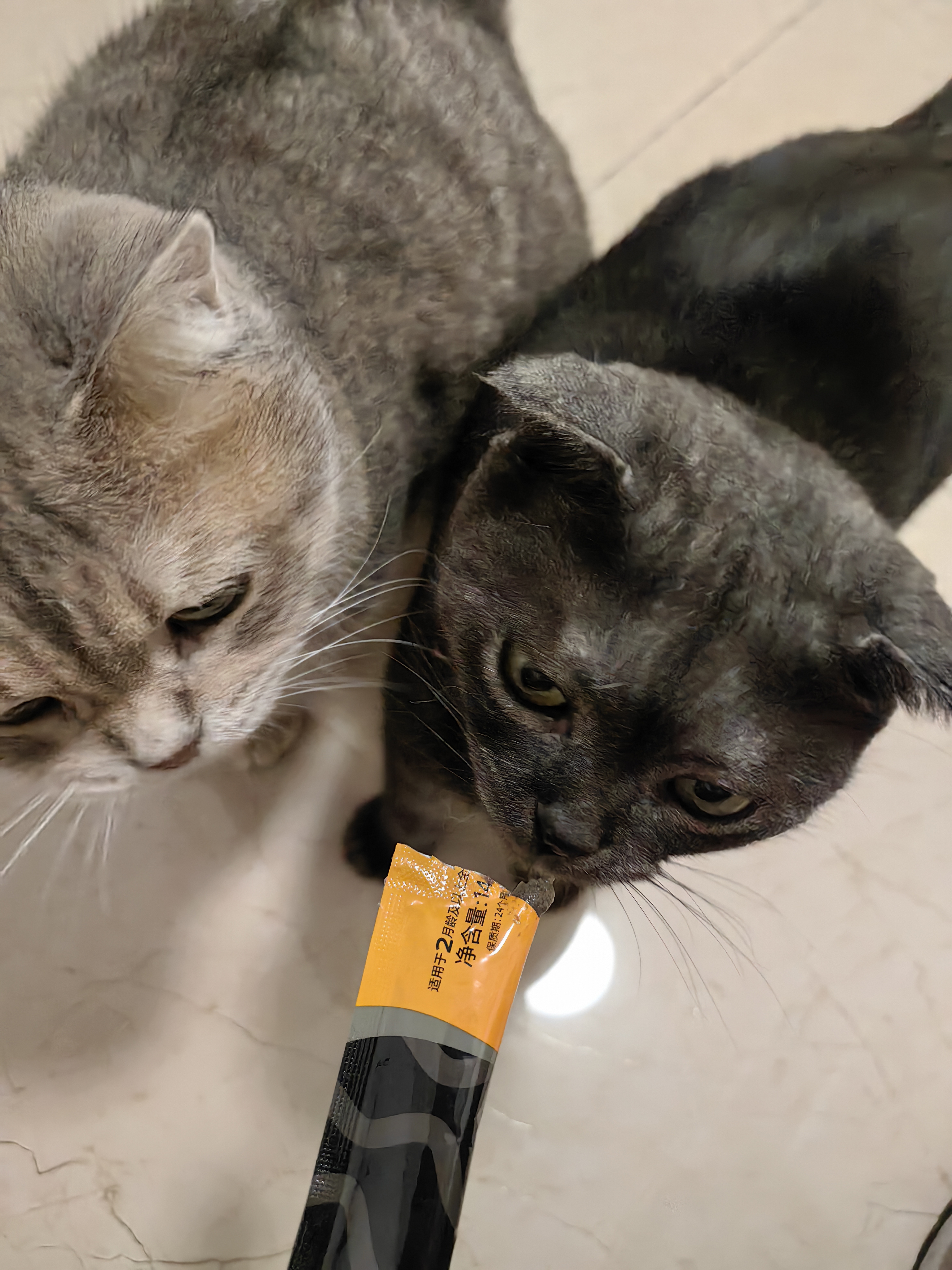 领先主食猫条14g*5条猫咪零食全价湿粮（新老款随机发货） 实拍图