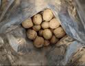 楼兰蜜语薄皮大核桃500g/袋*2 新疆纸皮核桃新货 新二核桃零食坚果炒货 实拍图