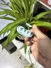 索爱（soaiy）GK9耳夹式蓝牙耳机真无线 开放式不入耳跑步音乐通话降噪 苹果华为小米通用 蒂芙尼蓝 实拍图