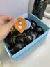 瑞幸咖啡0糖0脂浓缩咖啡液 大容量生椰风味 美式速溶黑咖啡18ml*32颗 实拍图