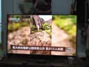 长虹欧宝丽京东联名款京东OS 43英寸无开机广告足球季专属电视43JD 01全高清电视一级能效43Z60H-G1 实拍图