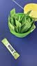 金豆芽九只小梨 纯梨膏孕妇梨膏小孩清润秋梨膏莱阳砀山滋养鲜梨膏 210g 小梨桶纯梨膏*2 实拍图