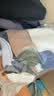 莫代尔10双袜子男中筒秋冬季长袜10A级抗菌潮流学生高帮男士字母透气袜 实拍图