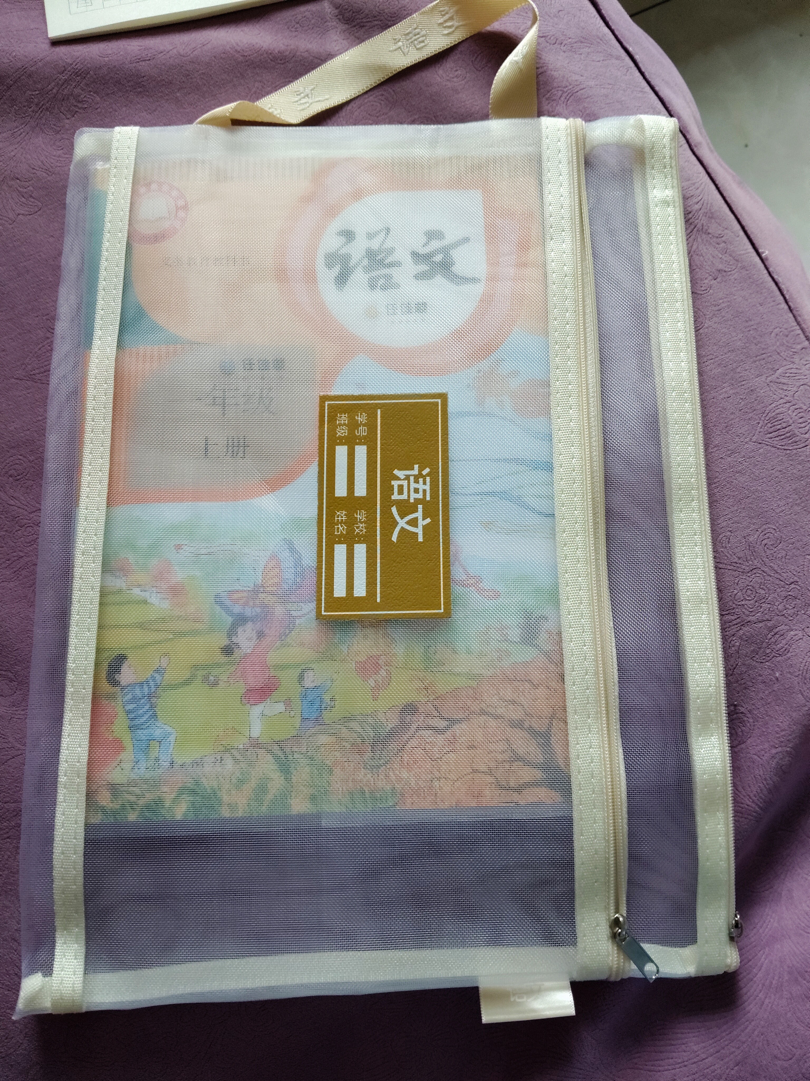 西语透明网格学科科目分类袋双层A4文件袋小学生试卷收纳袋拉链袋透明书袋课本分科学习资料手提文具袋 【双层女生款3个】语数综合 实拍图