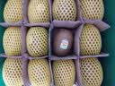佳沛（zespri）新西兰金奇异果12粒特大果124-146g猕猴桃中秋节礼品送水果礼盒 实拍图
