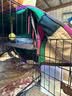 憨憨宠猫笼折叠猫笼子大号猫别墅加粗加密双层猫舍猫窝宠物猫咪用品家用 黑色 600双层 实拍图
