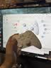 北通鲲鹏20游戏手柄AI智控双切扳机TMR震动无线多模蓝牙xbox类电脑PC手机steam体感NS switch2影之刃零 实拍图