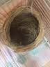 派乐特 鸟窝草编草窝鸟繁殖窝鸟巢用品用具 葫芦形M 实拍图